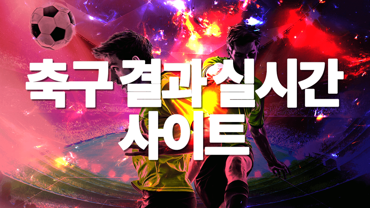 축구-결과